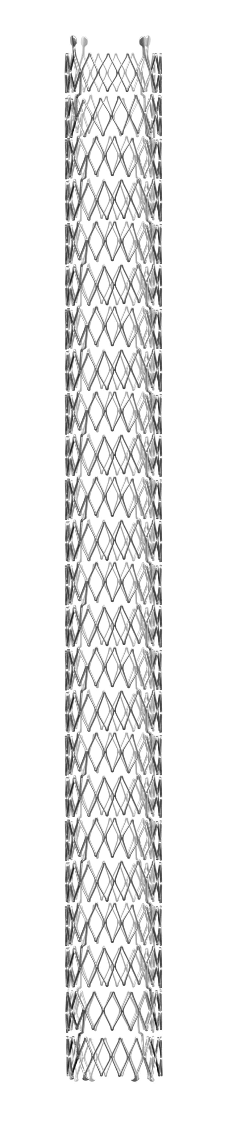Sinus_Venous