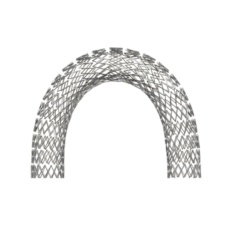 Sinus_Venous_2