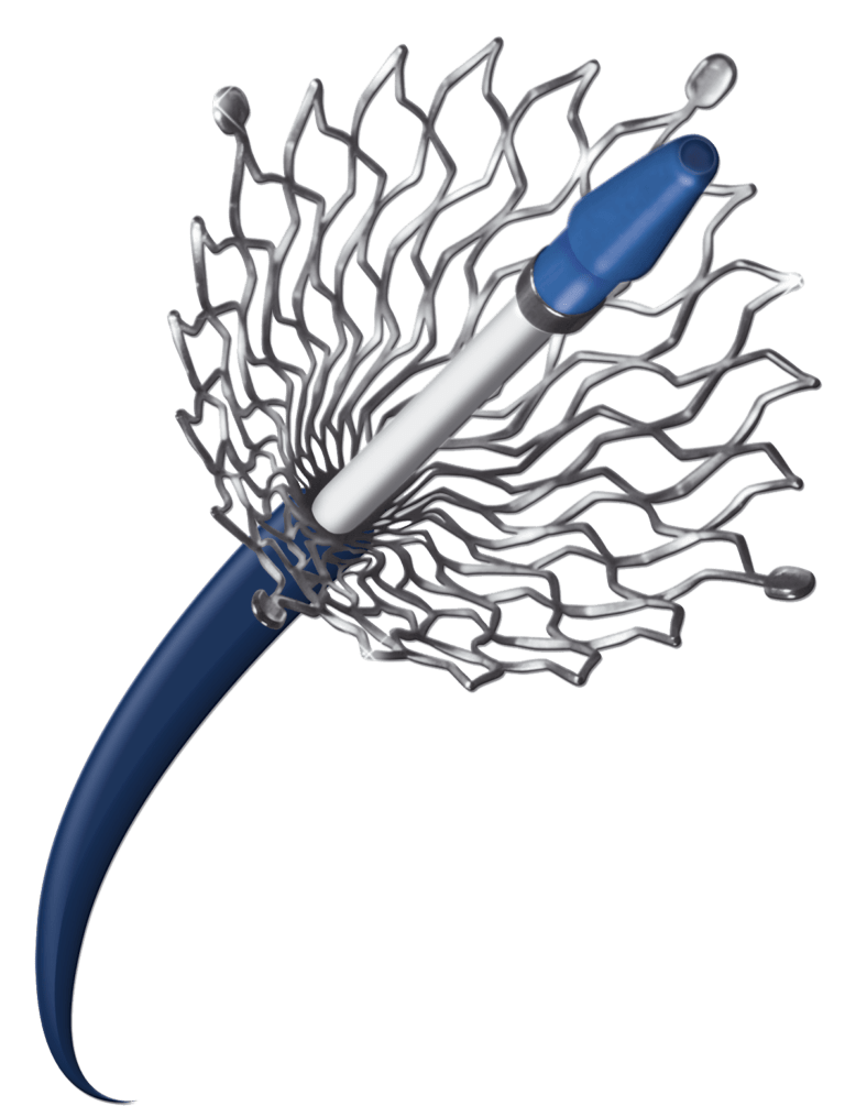 Stent-EFB