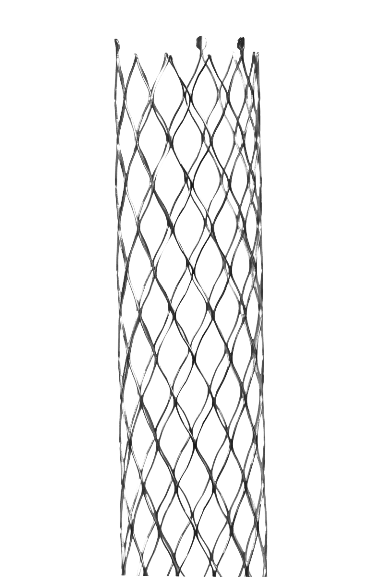 Stent-XL6F-grau